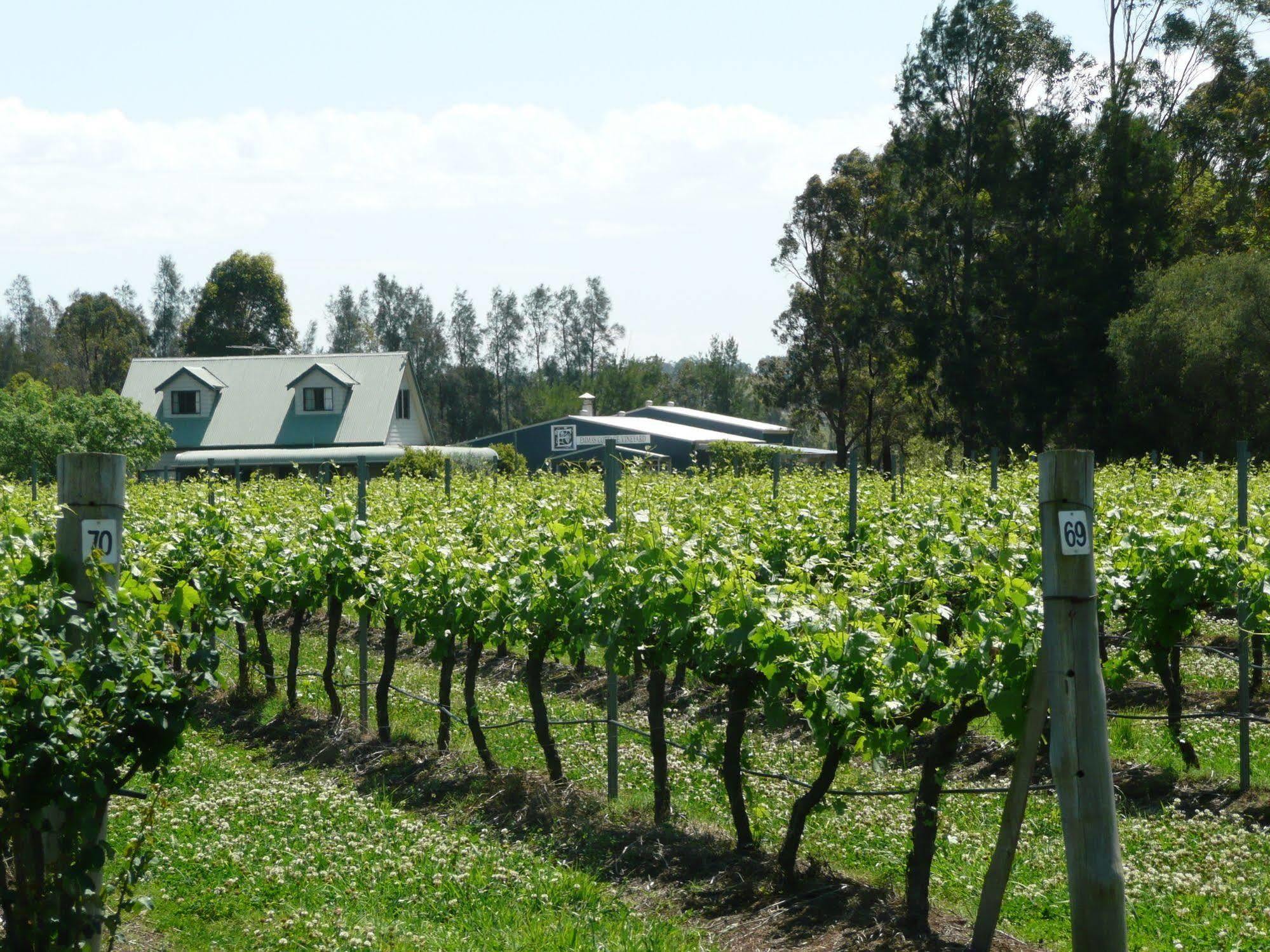 Emma'S Cottage Vineyard Lovedale Exterior foto